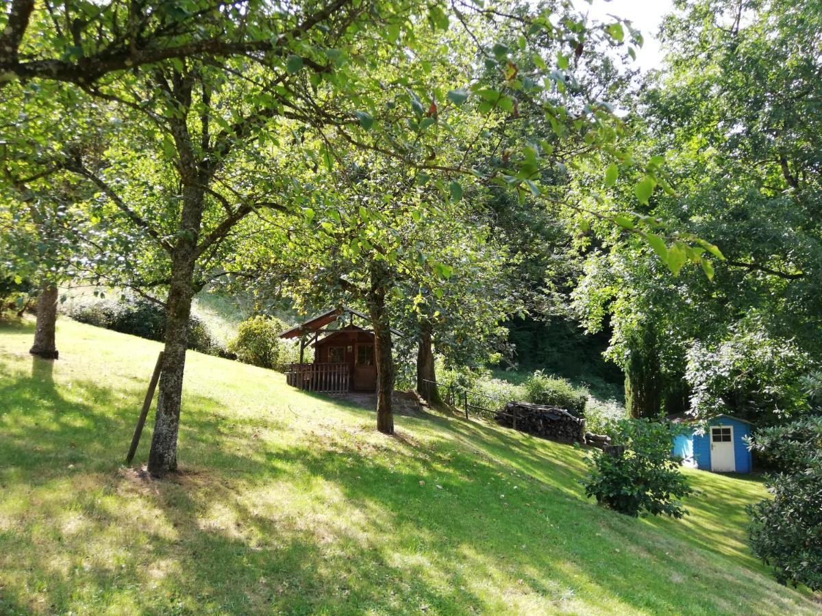 Chalet Madeleine - 160 Qm Ferienhaus Baden-Baden Buitenkant foto